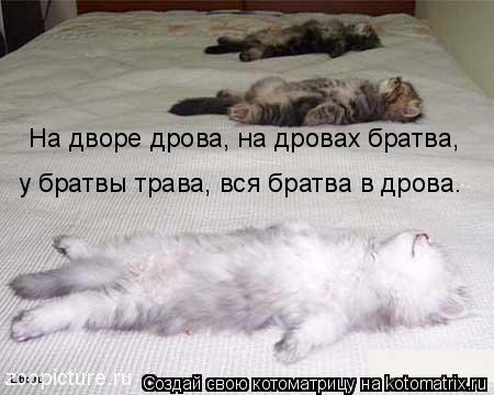 На дворе дрова, на дровах братва, у братвы трава, вся братва в дрова.... Котоматрица: На дворе дрова, на дровах братва, у братвы трава, вся братва в дрова.