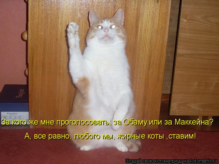 За кого же мне проголосовать: за Обаму или за Маккейна? А, все равно, любого мы, жирные коты ,ставим!... Котоматрица: За кого же мне проголосовать: за Обаму или за Маккейна? А, все равно, любого мы, жирные коты ,ставим!
