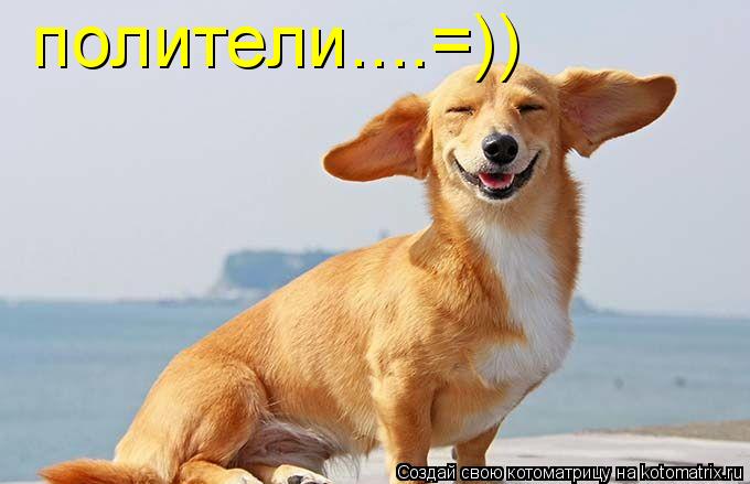 Котоматрица: полители....=))
