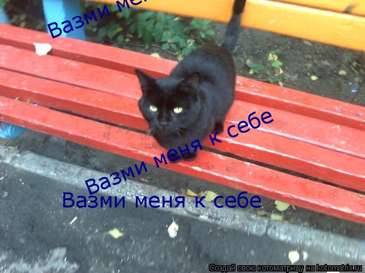 Котоматрица: Вазми меня к себе Вазми меня к себе Вазми меня к себе