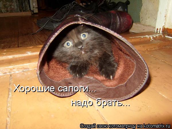 Котоматрица: Хорошие сапоги... надо брать...