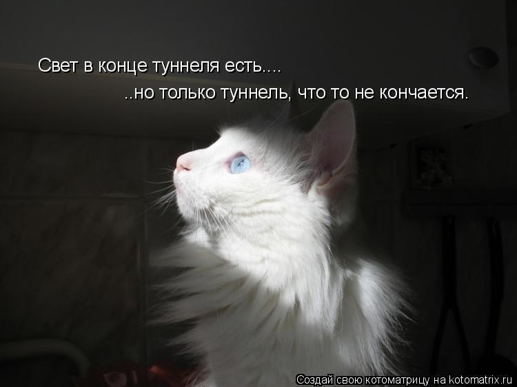 Котоматрица: Свет в конце туннеля есть.... ..но только туннель, что то не кончается.