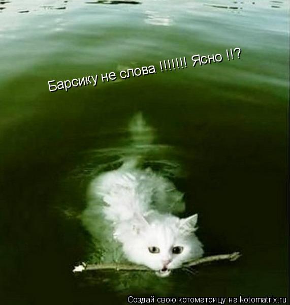 Барсику не слова !!!!!!! Ясно !!?... Котоматрица: Барсику не слова !!!!!!! Ясно !!?