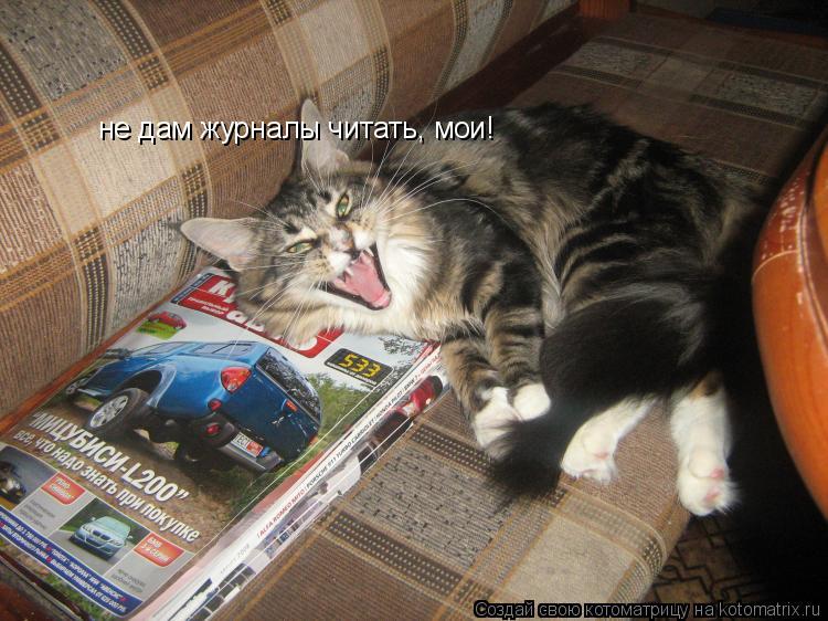 Котоматрица: не дам журналы читать, мои!
