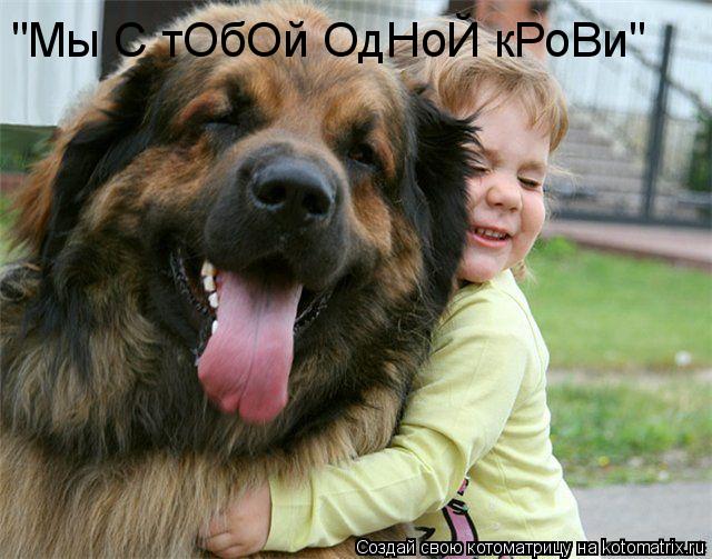 Котоматрица: "Мы С тОбОй ОдНоЙ кРоВи"