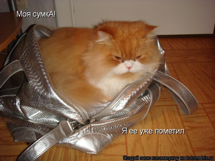 Моя сумкА! Я ее уже пометил... Котоматрица: Моя сумкА! Я ее уже пометил