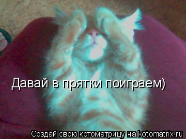 Котоматрица: Давай в прятки поиграем)