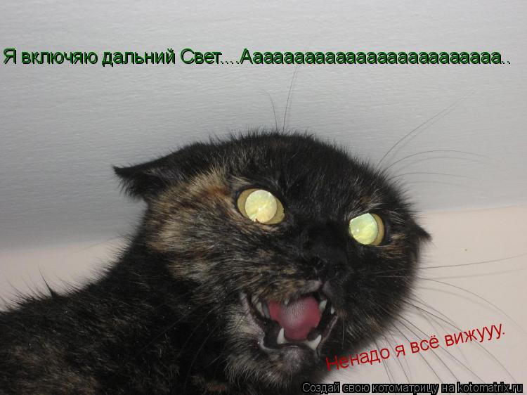Котоматрица: Я включяю дальний Свет....Ааааааааааааааааааааааааа.. Ненадо я всё вижууу.
