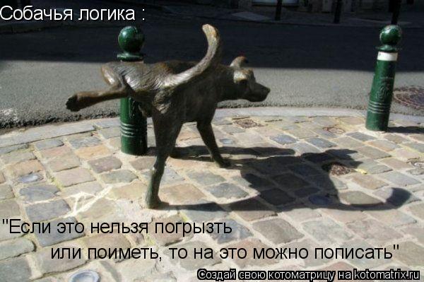 Собачья логика : "Если это нельзя погрызть или поиметь, то на это можно пописать"... Котоматрица: Собачья логика : "Если это нельзя погрызть или поиметь, то на это можно пописать"