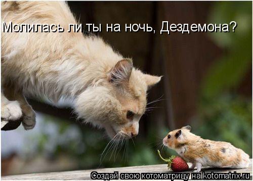 Молилась ли ты на ночь, Дездемона?... Котоматрица: Молилась ли ты на ночь, Дездемона?