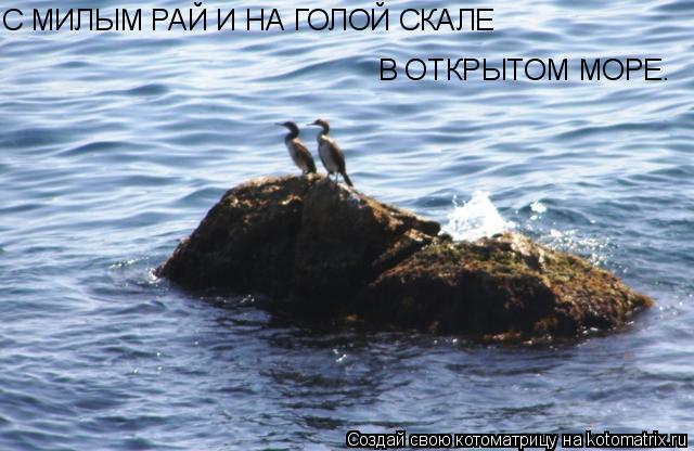 В ОТКРЫТОМ МОРЕ. С МИЛЫМ РАЙ И НА ГОЛОЙ СКАЛЕ... Котоматрица: В ОТКРЫТОМ МОРЕ. С МИЛЫМ РАЙ И НА ГОЛОЙ СКАЛЕ