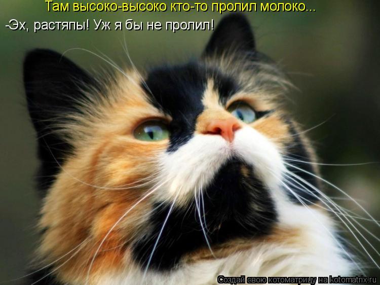 -Эх, растяпы! Уж я бы не пролил! Там высоко-высоко кто-то пролил молоко...... Котоматрица: -Эх, растяпы! Уж я бы не пролил! Там высоко-высоко кто-то пролил молоко...