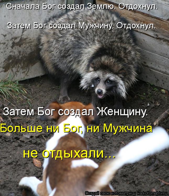 Затем Бог создал Женщину. не отдыхали... Больше ни Бог, ни Мужчина Затем Бог создал Мужчину. Отдохну... Котоматрица: Затем Бог создал Женщину. не отдыхали... Больше ни Бог, ни Мужчина Затем Бог создал Мужчину. Отдохнул. Сначала Бог создал Землю. Отдохнул.