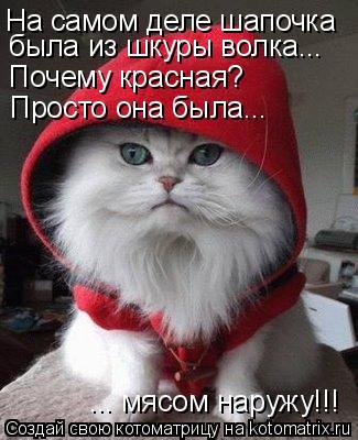 Котоматрица: На самом деле шапочка была из шкуры волка... Почему красная? Просто она была... ... мясом наружу!!!