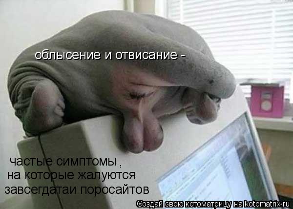 облысение и отвисание - частые симптомы , на которые жалуются завсегдатаи поросайтов... Котоматрица: облысение и отвисание - частые симптомы , на которые жалуются завсегдатаи поросайтов