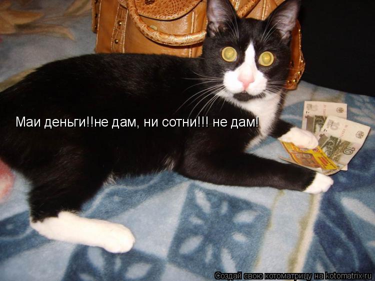 Котоматрица: Маи деньги!!не дам, ни сотни!!! не дам!
