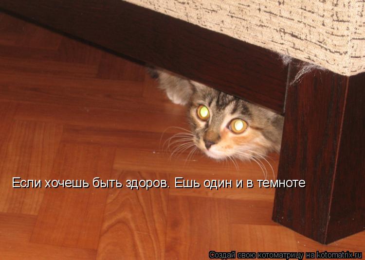 Если хочешь быть здоров. Ешь один и в темноте... Котоматрица: Если хочешь быть здоров. Ешь один и в темноте
