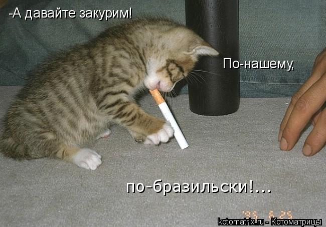 Котоматрица: -А давайте закурим! По-нашему, по-бразильски!...