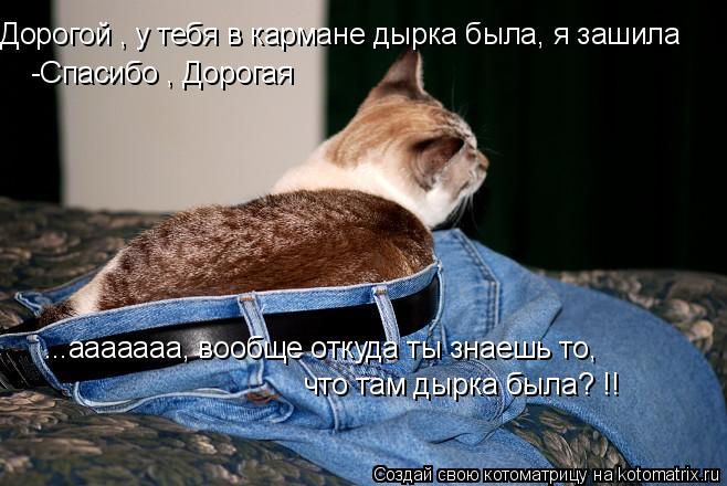 Котоматрица: Дорогой , у тебя в кармане дырка была, я зашила -Спасибо , Дорогая ...ааааааа, вообще откуда ты знаешь то,  что там дырка была? !!