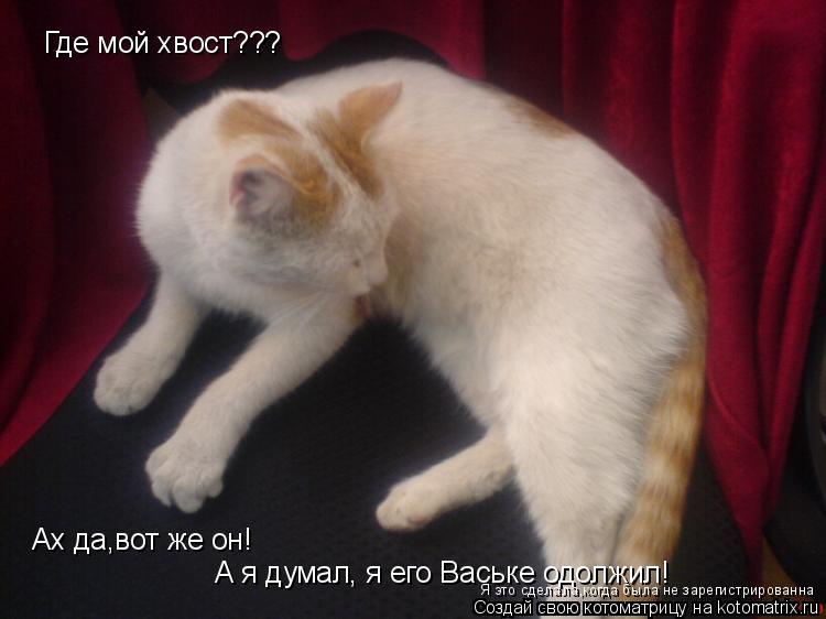 Я это сделала,когда была не зарегистрированна... Котоматрица: Я это сделала,когда была не зарегистрированна