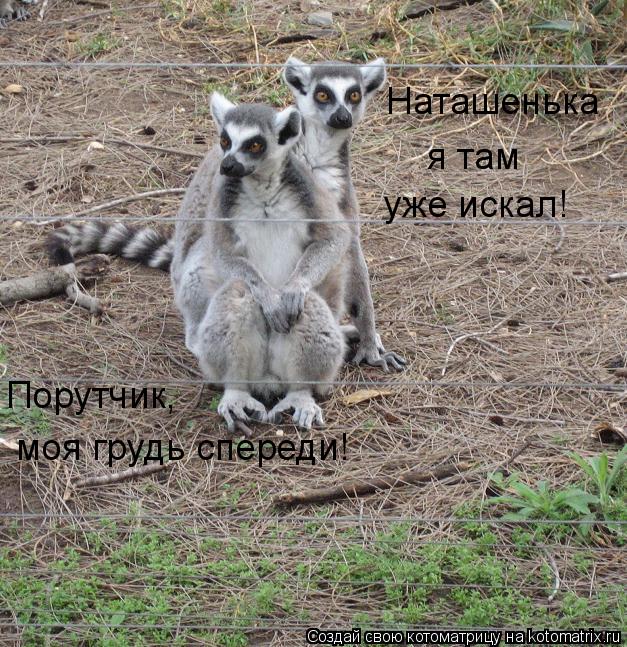 Котоматрица: моя грудь спереди! Порутчик, Наташенька я там уже искал!
