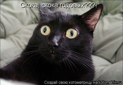 Котоматрица: Скока, скока годовых???!