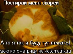 Котоматрица: Постирай меня скорей А то я так и буду тут лежать!