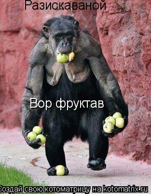 Разискаваной Вор фруктав... Котоматрица: Разискаваной Вор фруктав