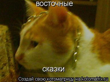 восточные сказки... Котоматрица: восточные сказки