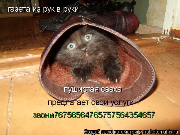 газета из рук в руки: пушистая сваха предлагает свои услуги: звони76756564765757564354657... Котоматрица: газета из рук в руки: пушистая сваха предлагает свои услуги: звони76756564765757564354657