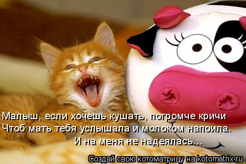 Котоматрица: Малыш, если хочешь кушать, погромче кричи Чтоб мать тебя услышала и молоком напоила. И на меня не надеялась...