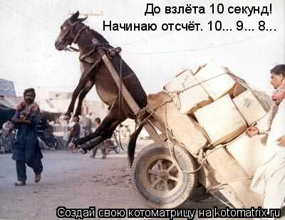 Начинаю отсчёт. 10... 9... 8... До взлёта 10 секунд!... Котоматрица: Начинаю отсчёт. 10... 9... 8... До взлёта 10 секунд!