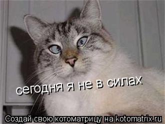 сегодня я не в силах... Котоматрица: сегодня я не в силах