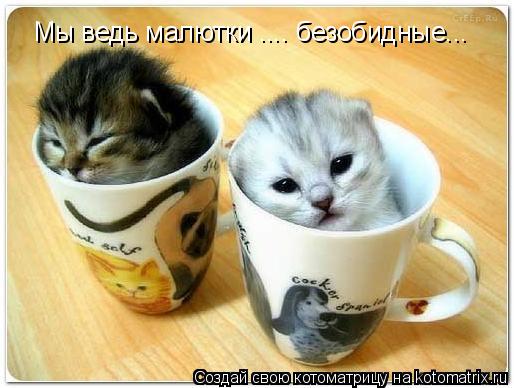 Мы ведь малютки .... безобидные...... Котоматрица: Мы ведь малютки .... безобидные...