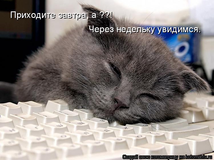Котоматрица: Приходите завтра, а ??! Через недельку увидимся.