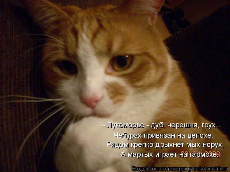 - Лукоморье - дуб, черешня, грух... Чебурах привязан на цепохе. Рядом крепко дрыхнет мых-норух, А... Котоматрица: - Лукоморье - дуб, черешня, грух... Чебурах привязан на цепохе. Рядом крепко дрыхнет мых-норух, А мартых играет на гармохе.