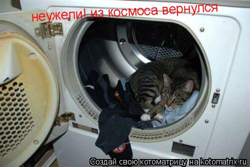 Котоматрица: неужели! из космоса вернулся