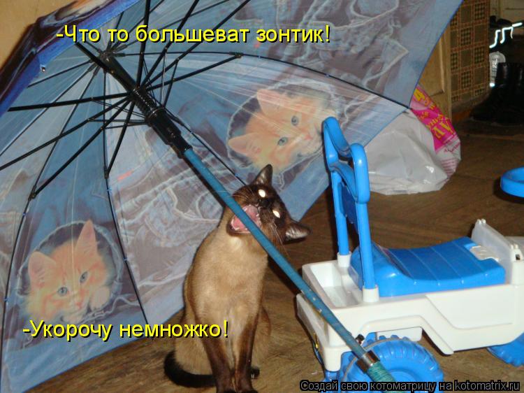 -Что то большеват зонтик! -Укорочу немножко!... Котоматрица: -Что то большеват зонтик! -Укорочу немножко!