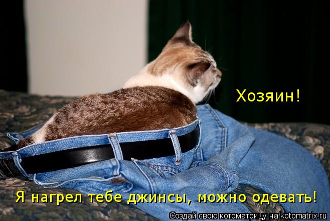 Котоматрица: Хозяин!  Я нагрел тебе джинсы, можноодевать!  Я нагрел тебе джинсы, можно одевать!