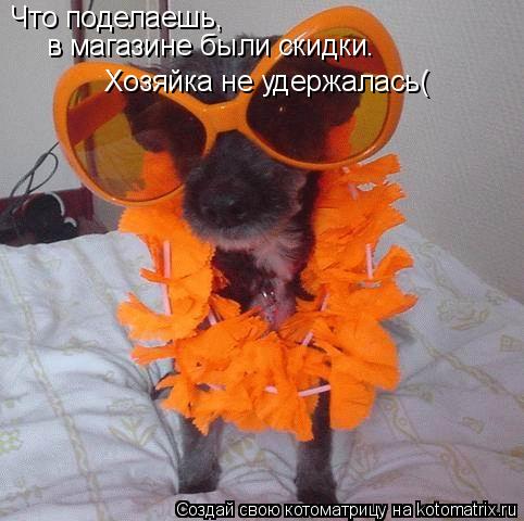 Котоматрица: Что поделаешь, в магазине были скидки. Хозяйка не удержалась(