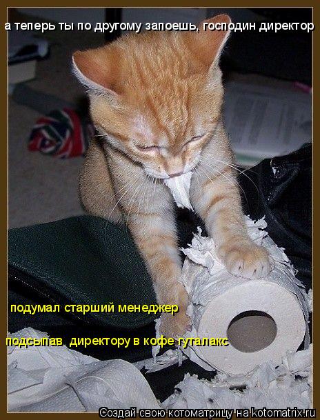 Котоматрица: а теперь ты по другому запоешь, господин директор подумал старший менеджер  подсыпав  директору в кофе гуталакс