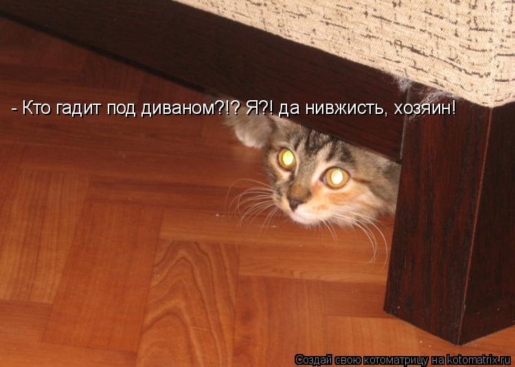 Котоматрица: - Кто гадит под диваном?!? Я?! да нивжисть, хозяин!