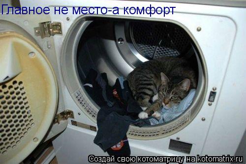 Котоматрица: Главное не место-а комфорт