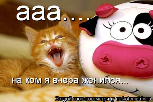 ааа.... на ком я вчера женился...... Котоматрица: ааа.... на ком я вчера женился...