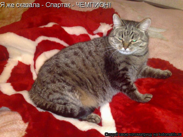 Я же сказала - Спартак - ЧЕМПИОН!... Котоматрица: Я же сказала - Спартак - ЧЕМПИОН!