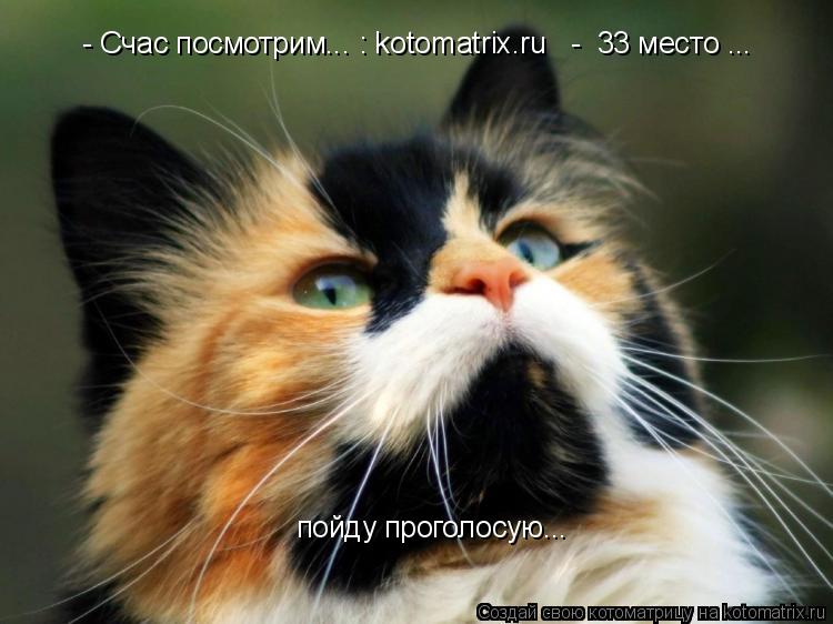 - Счас посмотрим... : kotomatrix.ru - 33 место ... пойду проголосую...... Котоматрица: - Счас посмотрим... : kotomatrix.ru - 33 место ... пойду проголосую...