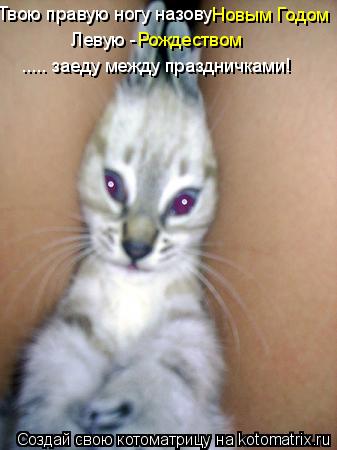 Твою правую ногу назову Новым Годом Левую - Рождеством ..... заеду между праздничками!... Котоматрица: Твою правую ногу назову Новым Годом Левую - Рождеством ..... заеду между праздничками!