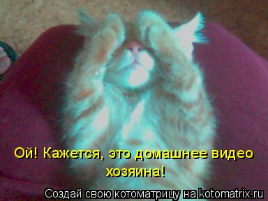 Ой! Кажется, это домашнее видео хозяина!... Котоматрица: Ой! Кажется, это домашнее видео хозяина!