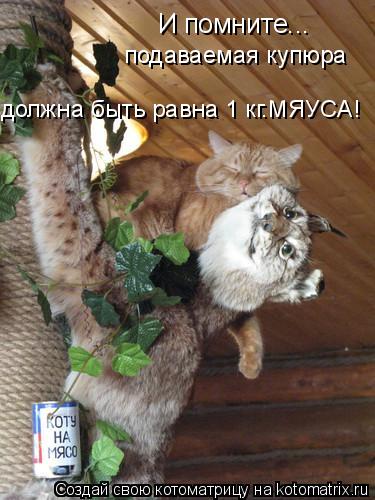 И помните... подаваемая купюра должна быть равна 1 кг.МЯУСА!... Котоматрица: И помните... подаваемая купюра должна быть равна 1 кг.МЯУСА!