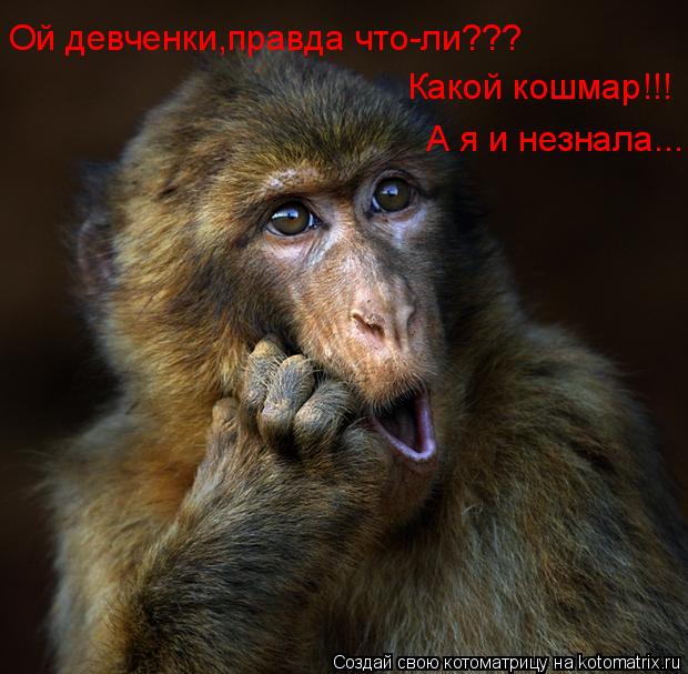 Ой девченки,правда что-ли??? Какой кошмар!!! А я и незнала...... Котоматрица: Ой девченки,правда что-ли??? Какой кошмар!!! А я и незнала...